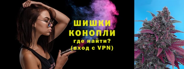 индика Балабаново