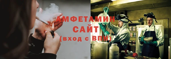 индика Балабаново