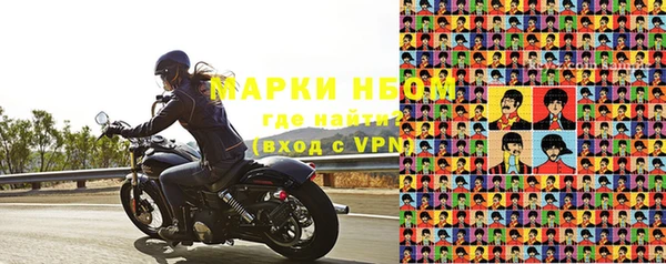 индика Балабаново