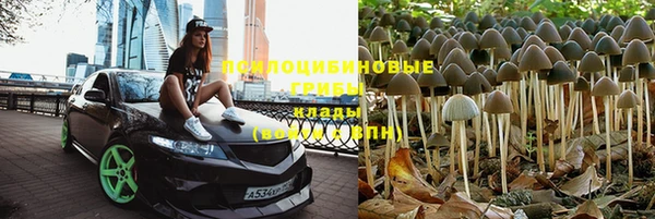 индика Балабаново