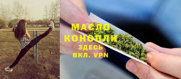 индика Балабаново